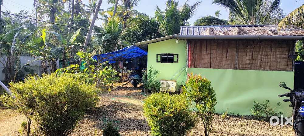 Square plot (sasthakulam near bund road)