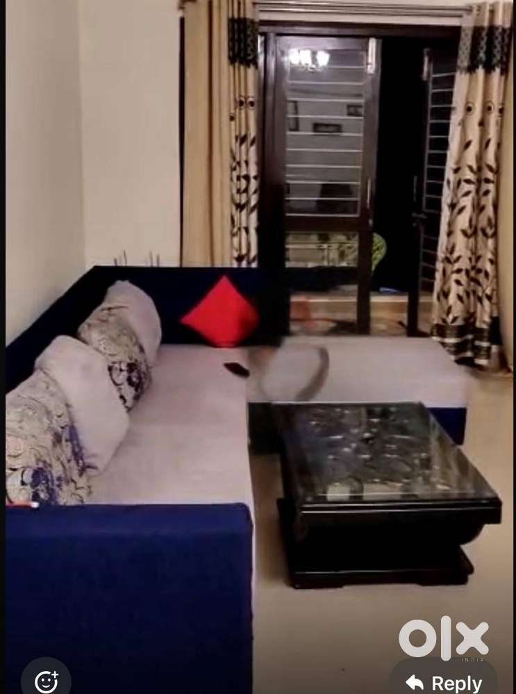 Move out sale- Sofa  + center table