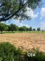 833.33Guz ka farm house near mehla ajmer road jaipur 90 A approved