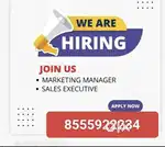 Marketing executive
