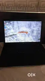 Supports windows 11
