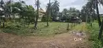 5cent, 6cent Or 12cent residental plot at Pambur center. Only 100mtr
