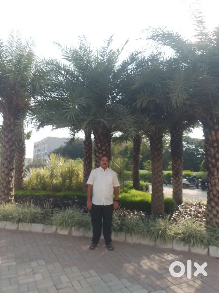 Rehabilitation hospital