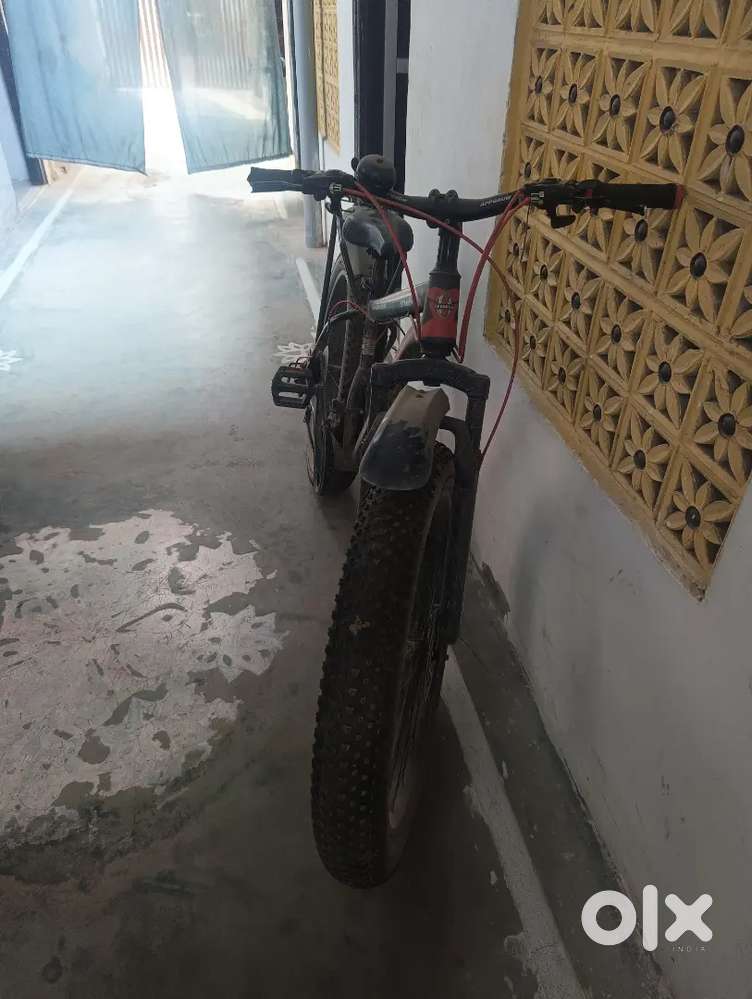 Always ok geayar cycle