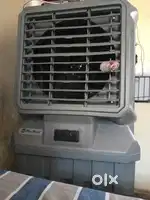 15 days old cooler