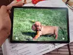 Samsung Galaxy S6 Lite with SIM & original S pen