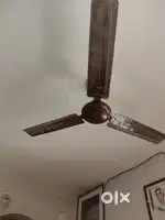 Ceiling fan