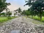 NATARAJAN SARAVANAMPATTI LAXMI GARDENS 3.84 CENTS SITE SALE