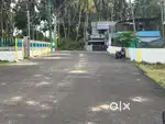 Vasantham Nager- Near Aalankottai