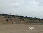 Premium Residential Plots at Rudraram nr IIT Kandi , Free Registration