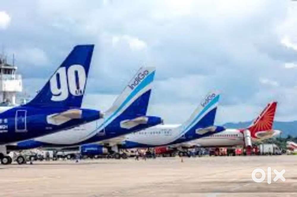 Required for male and females candidates indigo airlines jobs