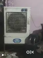 Roter air cooler