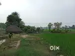 Surrounded by best schools, growing area. Near to Chennai highway.