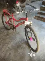 Renger cycle