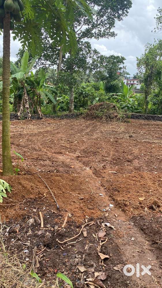 10 cents of land for sale at Pookkattupady