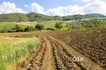 Premium Farm Land for Sale  Pazhamuthir Thottam Near Othakkalmandapam