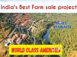 Agri land sale