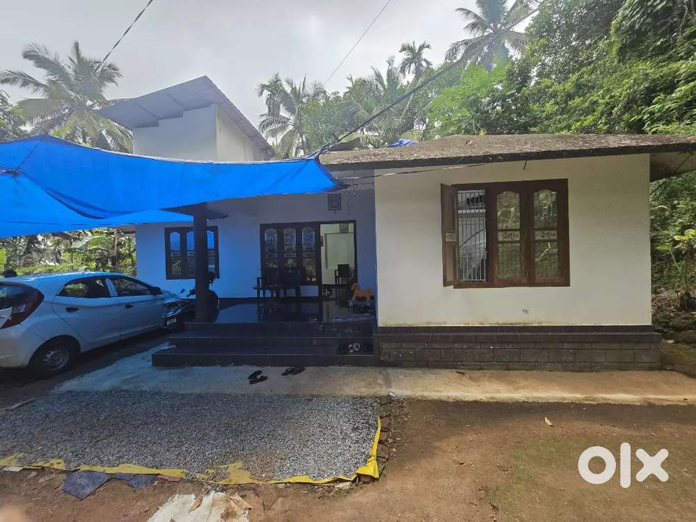 165 cent (1.65 acre) land with 1200 sqft concrete house