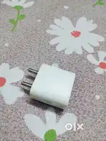Real apple hai