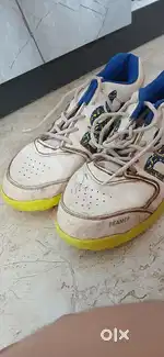 DSC cricket shoes