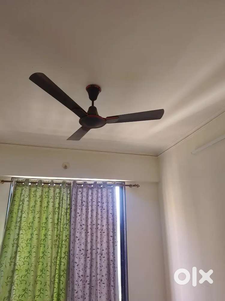 Family & Genuine a class job bachelors allowed