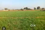 Near blue kingdom 4 bigaa general