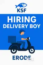 Delivery Boy Job