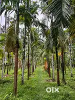 3 acres of agricultural land for sale