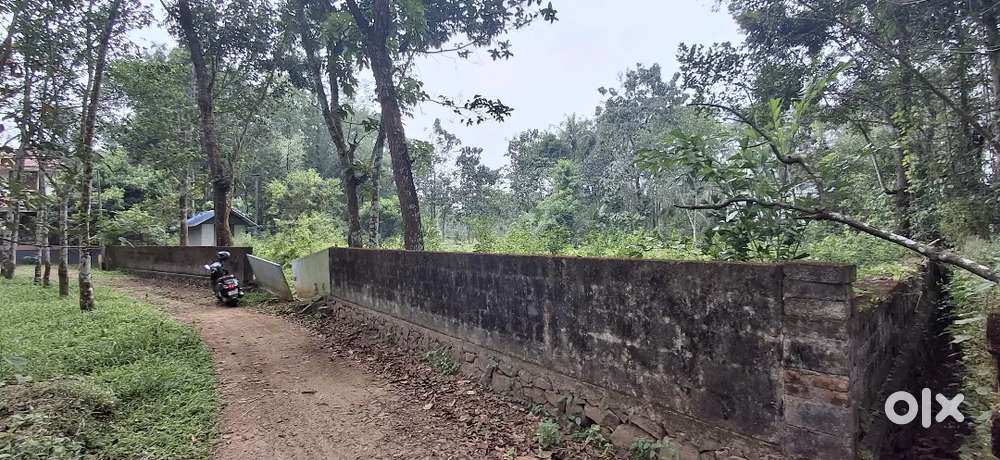 25 HOUSE PLOT FOR SALE NEAR PATTIMATTOM