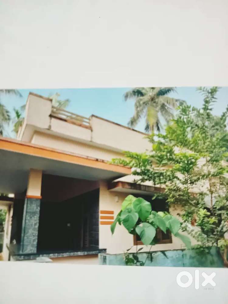 New single House