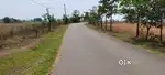 Near gajwel,Dambar Road BIT,20 Guntas agriculture land sale,Red Soil