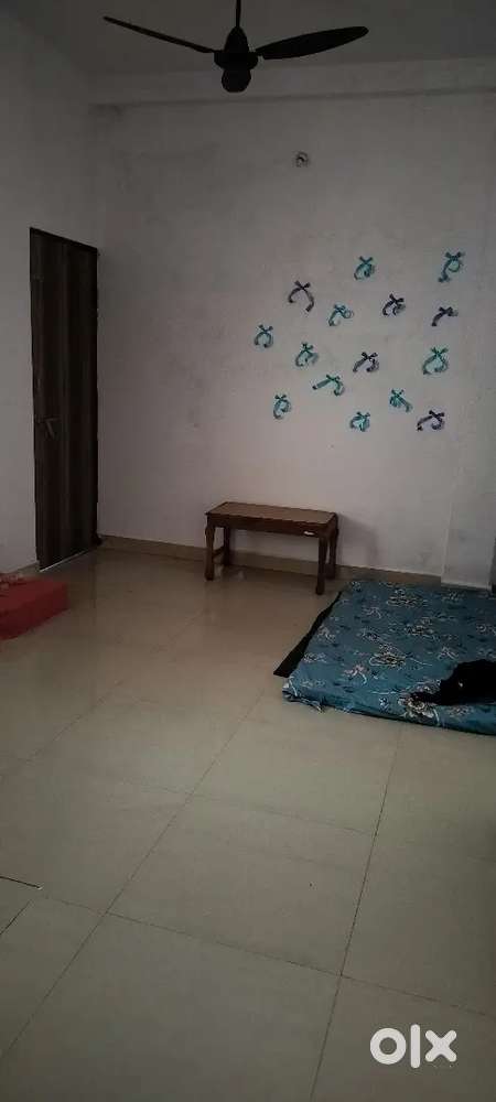 1bhk flat . Need one girl roommate+working)