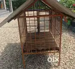 Dog cage for sale looks like new