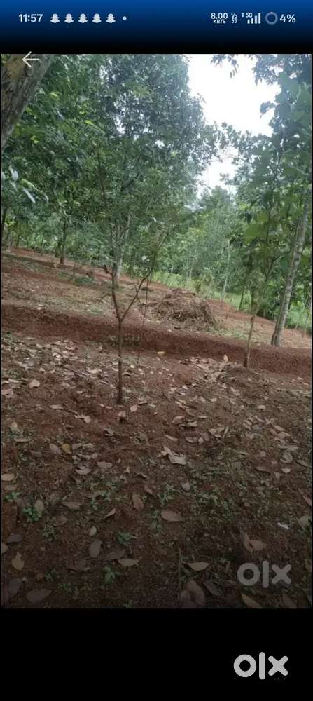 30 cent plot for sale.. Price ajust cheyam argent sale