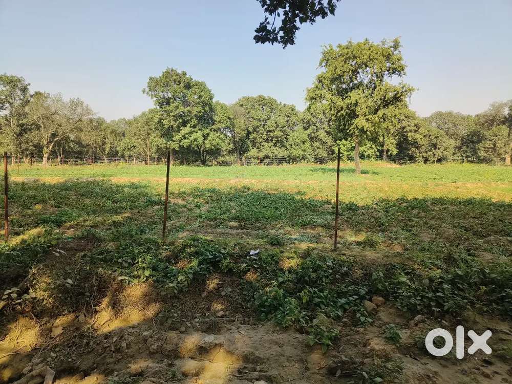 Land for sale