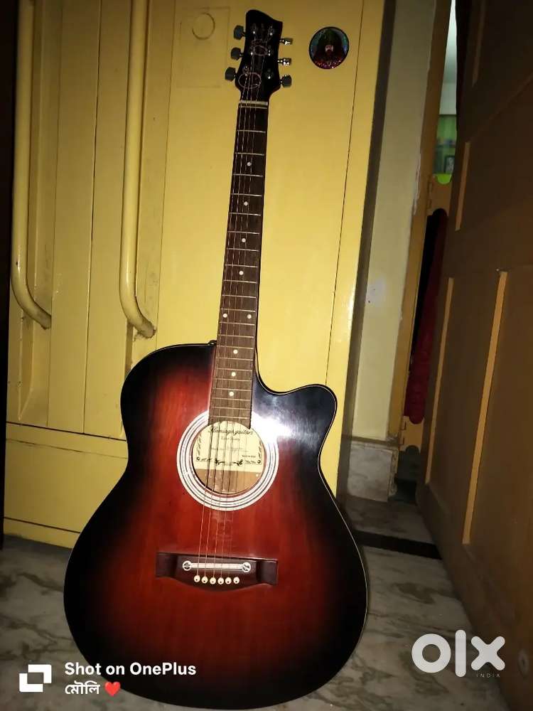 Flamingo Acoustic Guitar