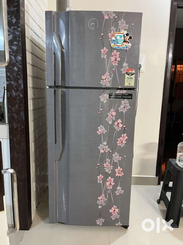 Godrej Refrigerator, double door