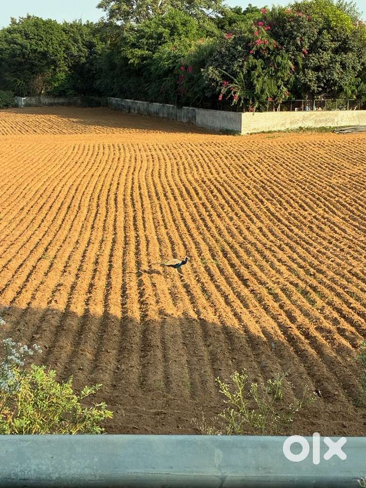 Excellent plots in newtown near infosys