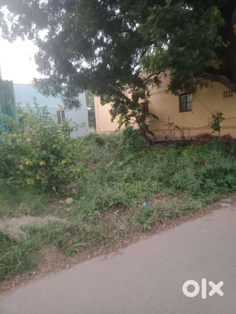 Thennampalayam (Arasur )