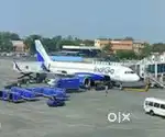 APPLY URGENT AIRPORT JOBS INDIGO AIRLINES GROUND STAFF & CABIN CREW