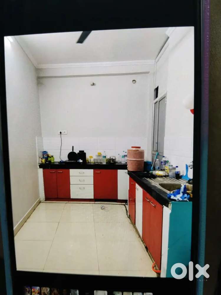 Need a female roommates