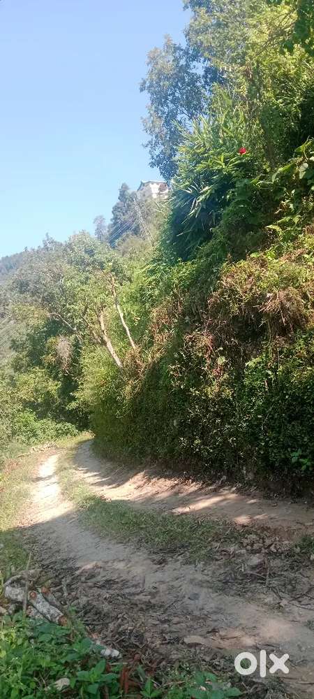 Namthang Palitam School road South Sikkim