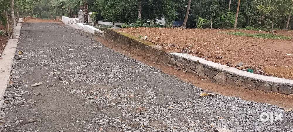 Angamaly near Pulyanam 5,6,8,10, cent plots available