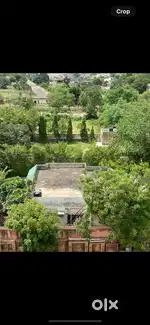 JDA Plot on 200ft sector road