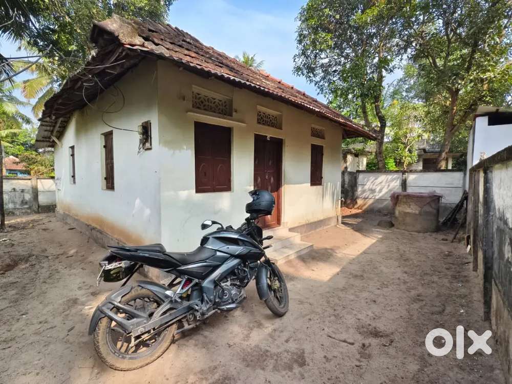 വീട് വാടകയ്ക്ക് ( Near പള്ളിമുക്ക് )