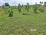LOW BUDGET FARM LAND FOR SALE