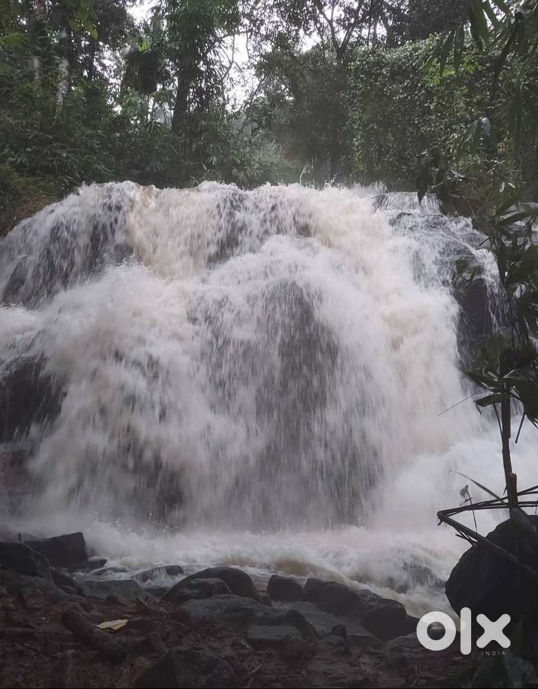 Beautiful Farming/Resort Land for Sale