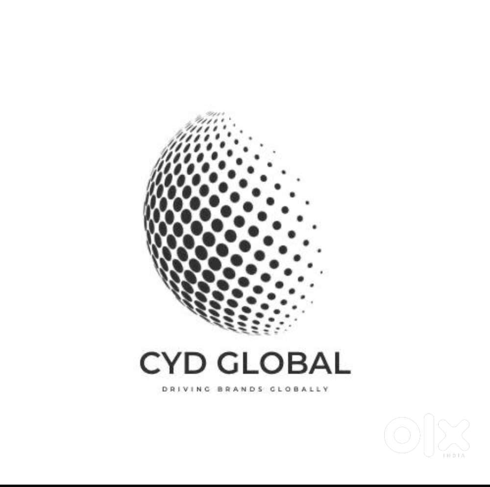 Web site developer