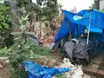 Plot at NCC Nagar Peroorkada