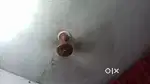 Relaxo fan